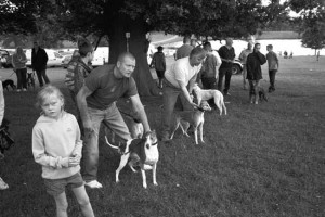 Owners wait their turn to run their lurchers in what was a fierce competition that nearly ended in a fist fight