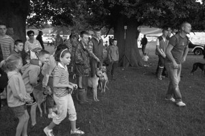 The kids get excited and the adults get serious as a lurcher races