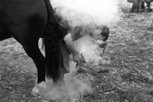 Farrier at work at the Wolsingham & wear Valley Agricultutal Show