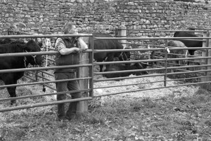 Stanhope Agricultural Show