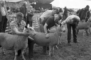 Stanhope Agricultural Show