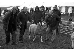 Langdon Beck Agricultural (Sheep) Show, Teesdale 24th September 2011