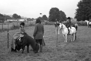Weardale Sheep Show at St. John's Chapel