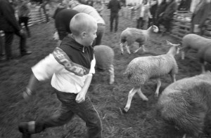 Escaping at the Wolsingham & Wear Valley Show