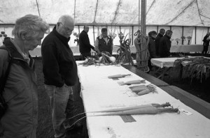 Inspecting the huge carrots at the Wolsingham & Wear Valley Show