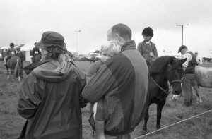 Sleepy - Appleby in Westmoreland Agricultural Show