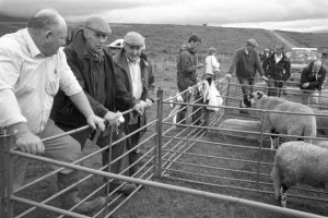 Appleby in Westmoreland Agricultural Show