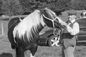 Eggleston Show, Teesdale September 2012