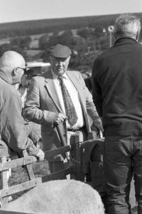 Eggleston Show, Teesdale September 2012
