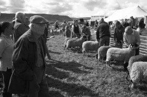 Langdon Beck Show, Teesdale, September 2012