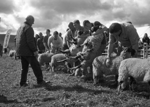 Langdon Beck Show, Teesdale, September 2012
