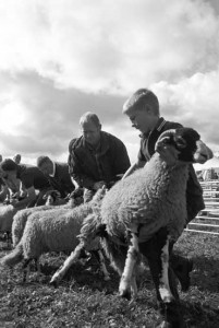 Langdon Beck Show, Teesdale, September 2012