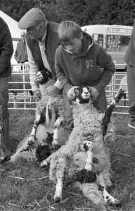 Langdon Beck Show, Teesdale, September 2012