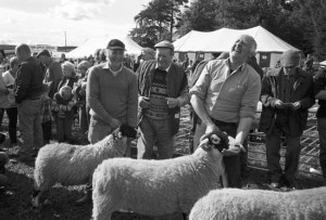 Langdon Beck Show, Teesdale, September 2012