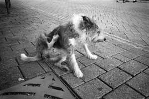 Scratch