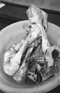 Bone Bowl