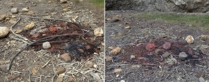 Bonfire site 2013 and 2016