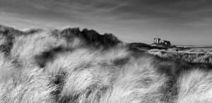D28919 BW