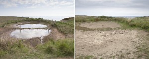 Cliff top pond 2015 and 2016